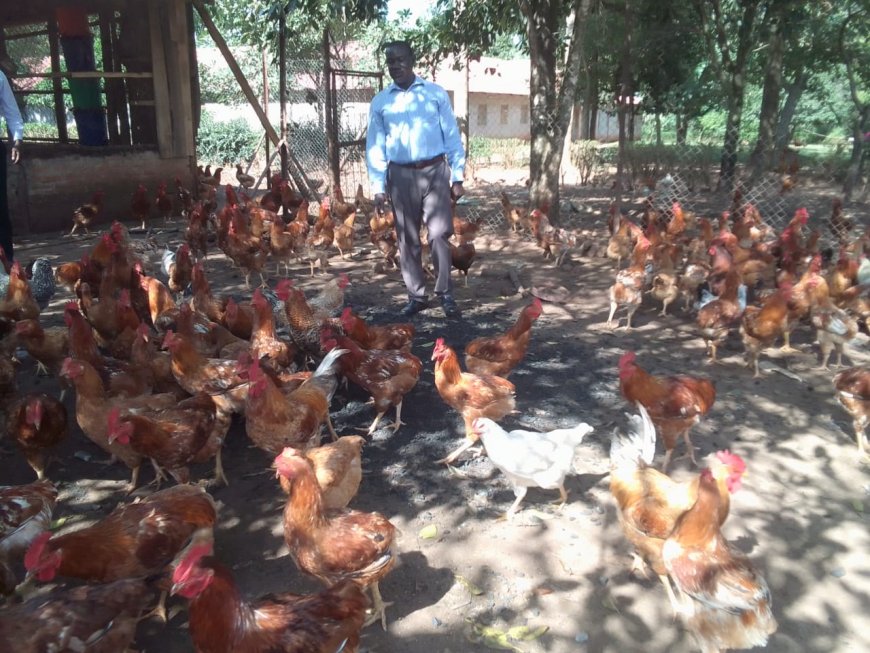 LANGO ! Skyland High School Poultry Project Improves Health and academic Performance of Students