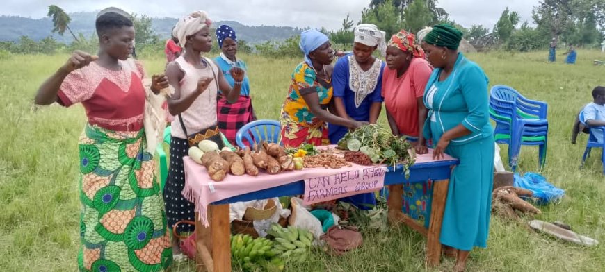 How Caritas Nebbi Catholic Diocese championed organic farming among Farmers